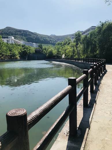 IMG_3081(20180503-151832)